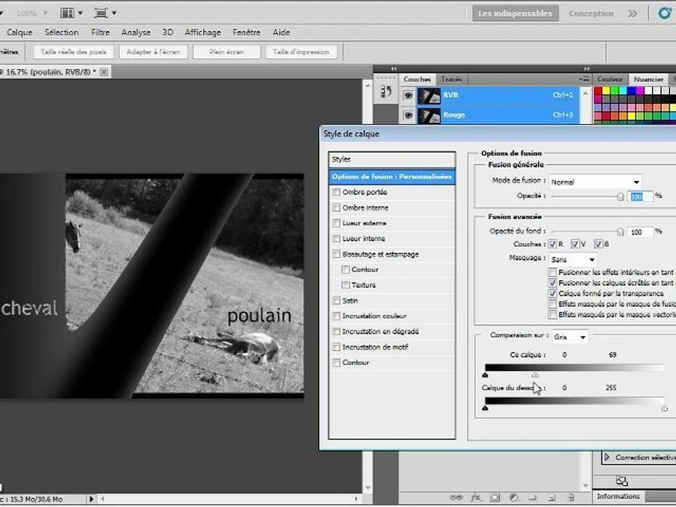 Adobe Photoshop CS5 : Masquer par plage de couleur