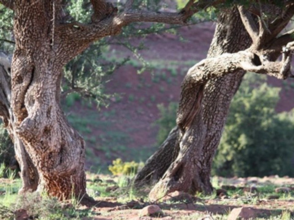 Equitrekking Morocco - Equestrian Travel - Horseback Riding Vacations Morocco