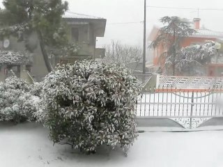 nevicata 1 febbraio