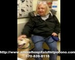 Testimonial on Dog Dental Care in Mt. Pocono