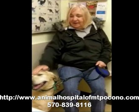 Testimonial on Dog Dental Care in Mt. Pocono