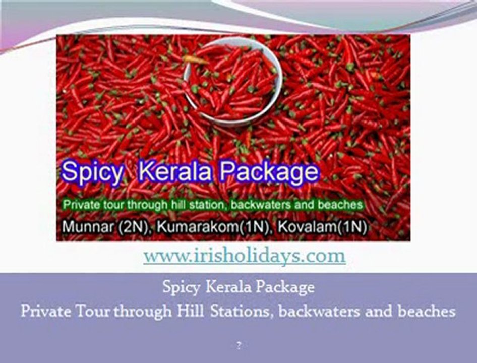 Kerala Honeymoon Packages