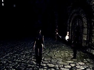 CHSBHC Tera Homunculus Sales Girl NPC Outfit