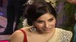 Hot Sophiya Chaudhary Looks Too Sexy In Saree At Genelia D'Souza & Ritesh Deshmukh Sangeet Ceremony