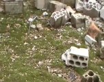 فري برس   كفرروما  ادلب  آثار القصف العشواثي على احد المنازل  2 2 2012