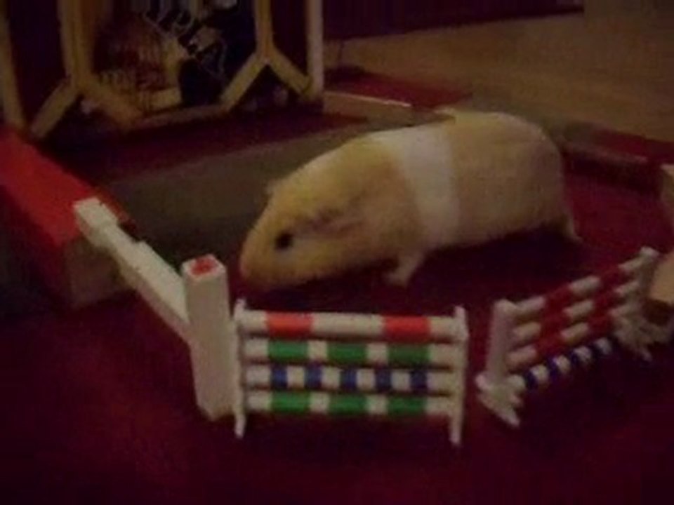 Praline fait son parcours