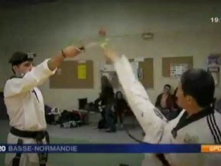 Taekwondo Maitre Park Pil Won FR3 29-01-2012