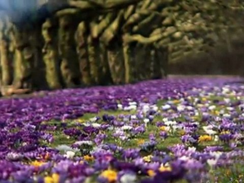 ŞEVVAL SAM-ÖLÜRSEM YAZIKTIR SANA DOYMADAN