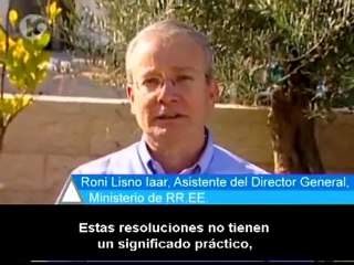 Resoluciones pro-palestinas de la ONU