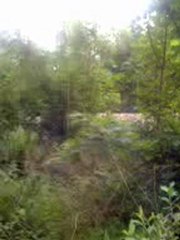 Train voyageur BB 67400 + ter le 15.05.2008