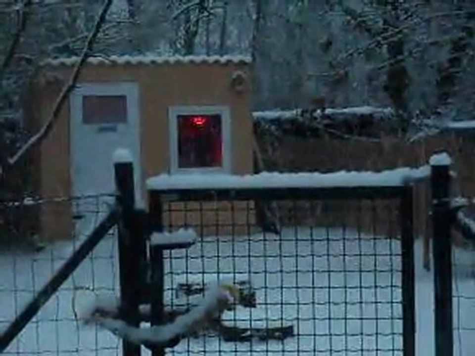 La neige du vendredi 3 février 2012 (2)