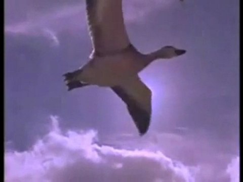 Deste Günaydın çeke çeke hazırlayan Serbülent Öztürk