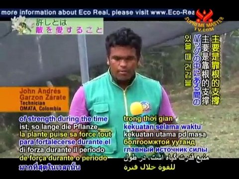 Nuturing Organic Coffee Beans in Colombia