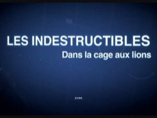 Les indestructibles (dans la cage aux lions)
