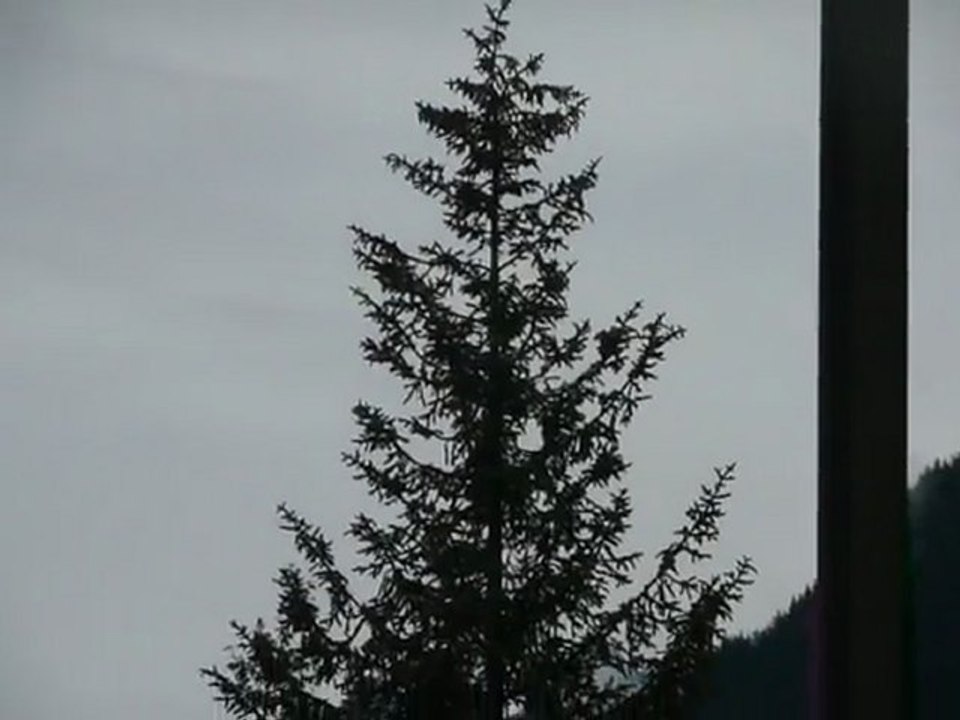 CRUISE (JUNEAU)-2010.05 005