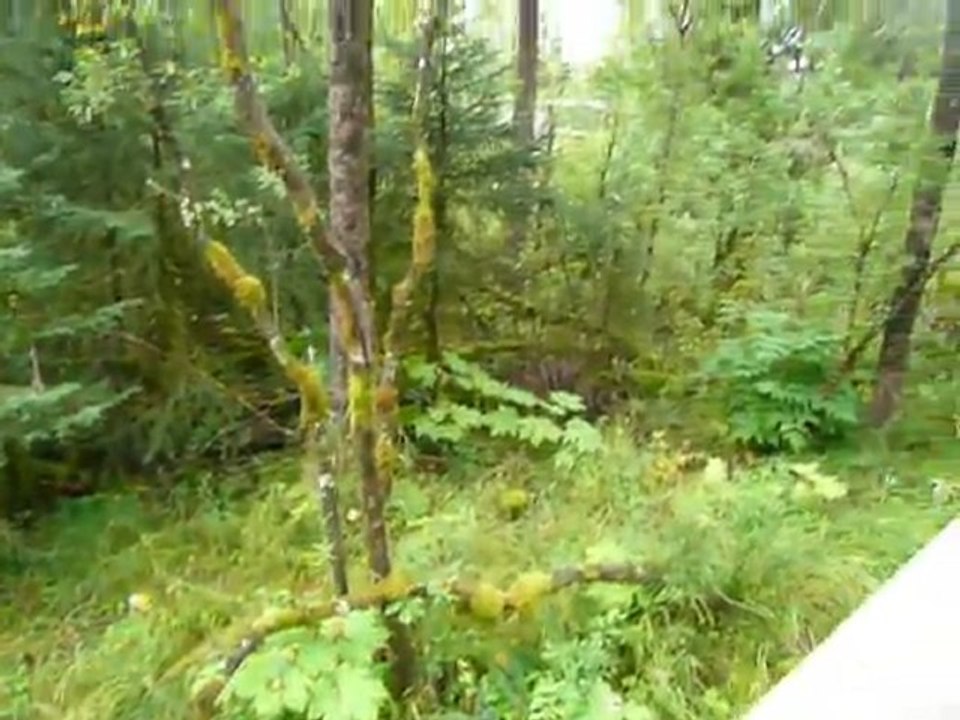 CRUISE (JUNEAU)-2010.05 007
