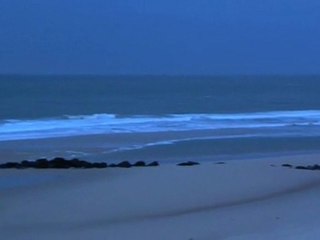 Samedi 04 Février - Surf report vidéo 8H30