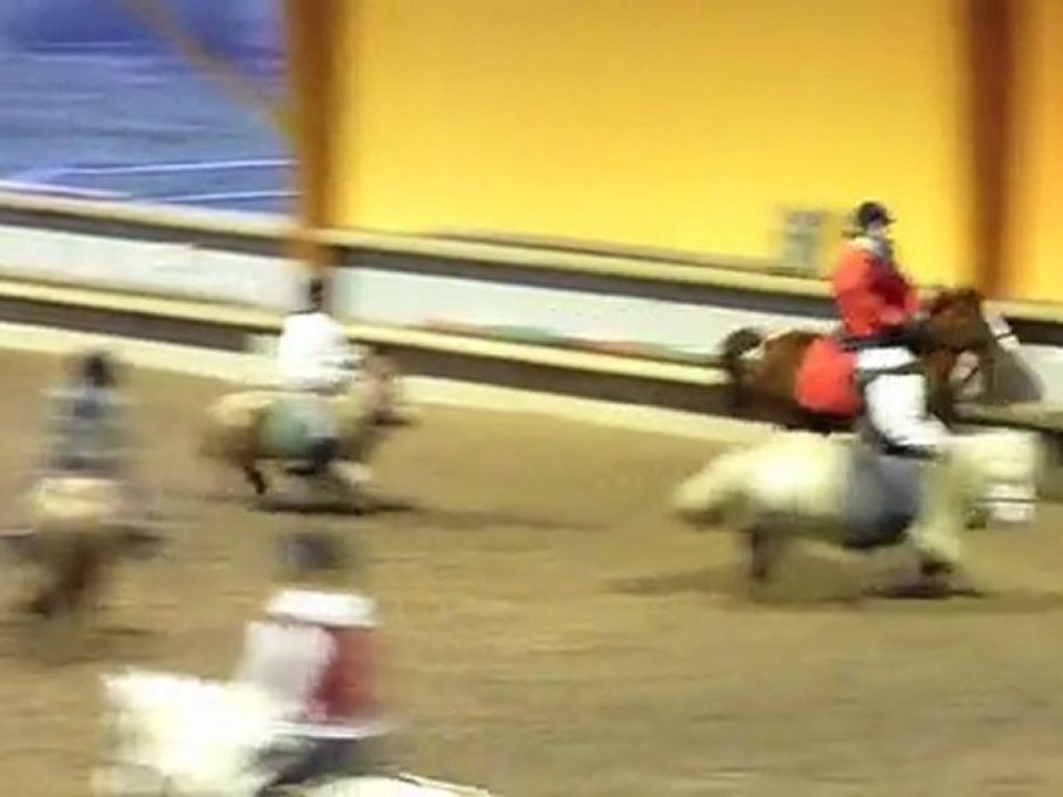 Cours du 28/01/12 avec les minis.
