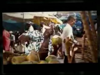 3-5th Feb Leeward Islands vs Guyana  - Regional 4 Day ...