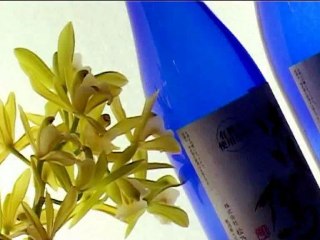 Les Quatre Saisons du Saké