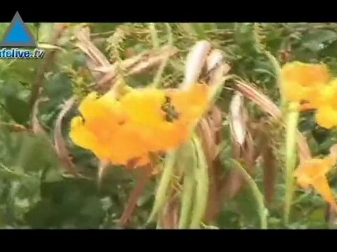 Compradores extranjeros desconcertados por los altos precios inmobiliarios de Israel