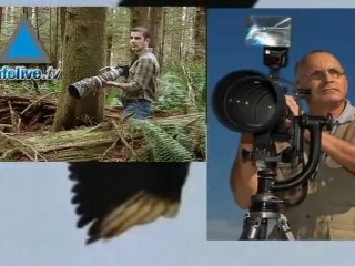 Dos israelíes galardonados por el concurso fotógrafo de la naturaleza 2010