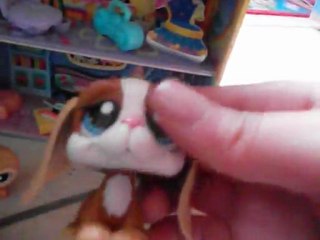 Mes news petshops ! 043