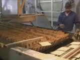 La exportaciones de matzot siguen cayendo en Israel