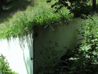 So Vital : La maison qui disparaît par Not Vital