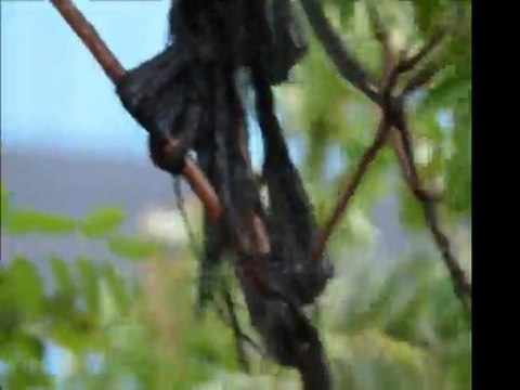 Karmate - Sular Akar Doldurur