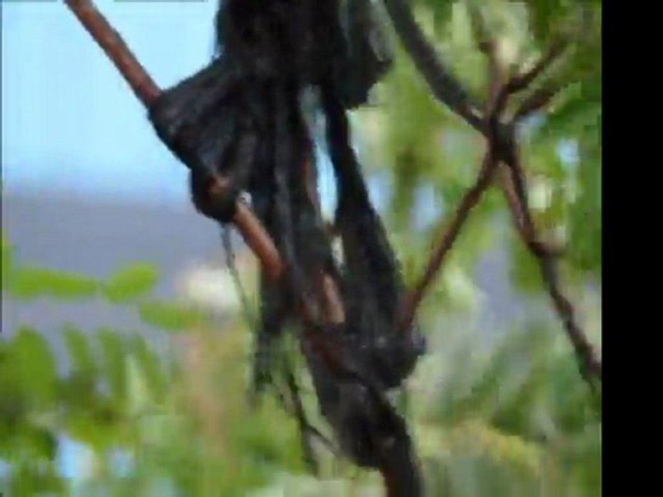 Karmate - Sular Akar Doldurur