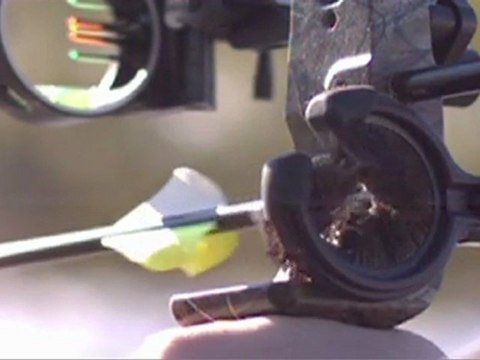 Whisker Biscuit in High-Speed Video