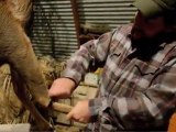 The Wild Chef: A Whitetail Butchering Tip