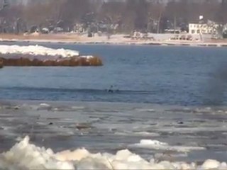 02 Long Crosser-short