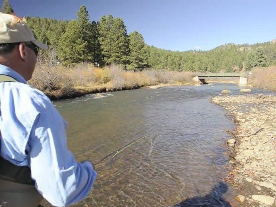 Fly Talk: Micro Side Currents