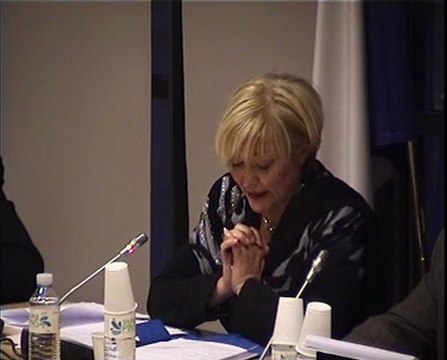 Pascale GRUNY présente son rapport sur la politique européenne de cohésion