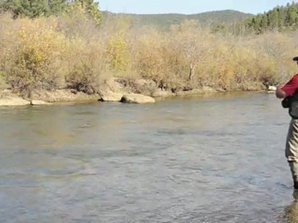 Fly Talk: Downstream Mend
