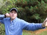 Four Steps to Good Bow-Shooting Form