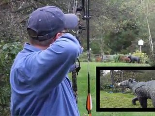 Long-Range Practice Improves Bow-Shooting Form