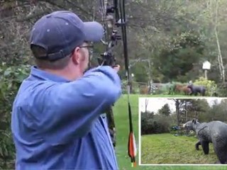 SEO Archery - 70 yard shot