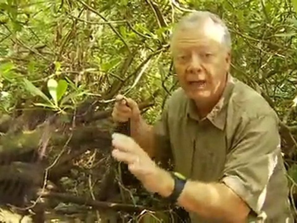 Heroes of Conservation 2011: Public-land Defender In Action