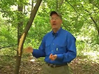 Rut Report: Read That Rub