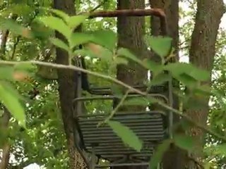 Rut Report: After Three Unproductive Sits, Move Your Stand!