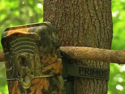 Rut Report: Get Creative With Trail Cameras