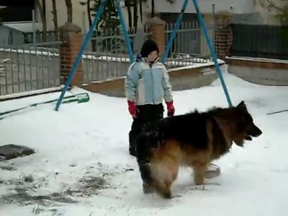 Giochi di neve