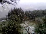 Bufera Neve a Nerola il 3 febbraio 2012 alle ore 13:00