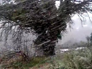 Neve a Nerola il 3 febbraio 2012