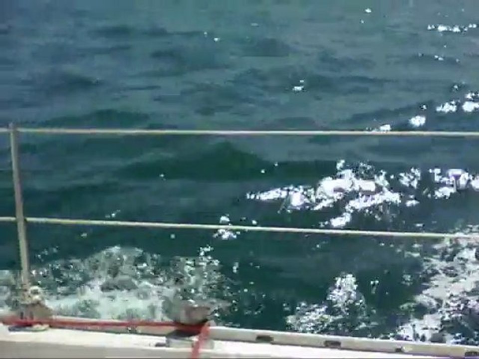 Voilier Aquila en baie d'Hendaye