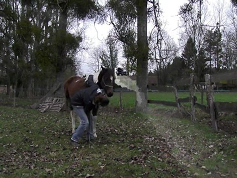 bokaidy etho 1ere seance