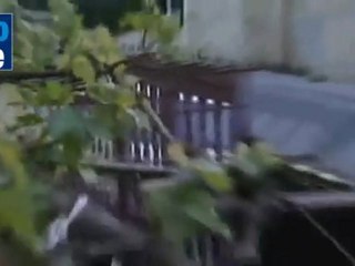 Shin Bet detiene dos células terroristas en Cisjordania